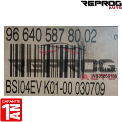 BSI VIERGE PEUGEOT 308 SW BSI04EV K01-00 966405878002 6580SP 1663371880