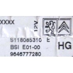 BSI VIERGE PEUGEOT 206 E01-00 9645747380 S118085310D SIEMENS HG