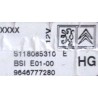BSI VIERGE PEUGEOT 206 E01-00 9645747380 S118085310D SIEMENS HG