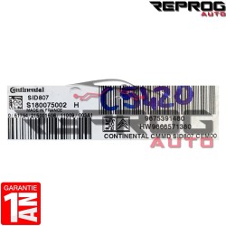 CALCULATEUR DÉCODÉ SID807 PEUGEOT CITROEN S180075002H 9675391480 HW9666571380