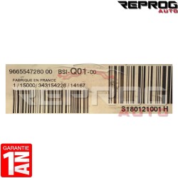 copy of BSI Q01 VIERGE CITROEN C4 II 9665547280 S180121001E CONTINENTAL BSI-Q01-00