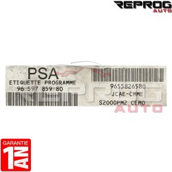 CALCULATEUR MOTEUR DÉCODÉ CITROEN XSARA PICASSO 1.8 9659785980 9655826580 S2000PM2 JCAE-CMME