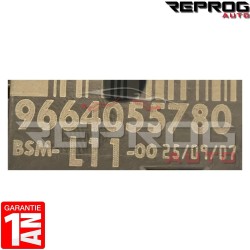 BSM L11 DELPHI 9664055780 PEUGEOT 207 BOITIER SERVITUDE MOTEUR OCCASION