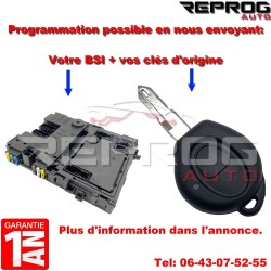 BSI VIERGE PEUGEOT 206 T1 9638160680 S105872400H B4 SIEMENS