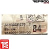 BSI VIERGE B4 PEUGEOT 406 9640091380 S110950410B D9 SIEMENS