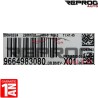 BSI VIERGE PEUGEOT 207 PHASE 2 VALEO X01 9664983080 22661F01 6580YJ