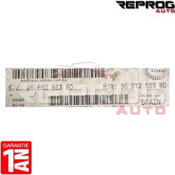 CALCULATEUR MOTEUR AVEC PROGRAMMATION/CLONAGE PEUGEOT EXPERT FIAT DUCATO CITROEN JUMPER SW9665066380 HW9661256980 VISTEON DCU102