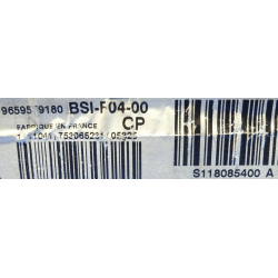 BSI VIERGE PEUGEOT 1007 F04-00 9659579180 S118085400A SIEMENS F04 6580FL