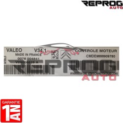 CALCULATEUR DÉCODÉ PEUGEOT 207 1.4i V34.1 CMDE9666909780 HW9666591380 VALEO