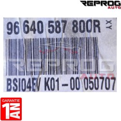 BSI VIERGE CITROEN C4 PICASSO BSI04EV K01-00 96640587800R JOHNSON CONTROLS
