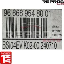BSI VIERGE PEUGEOT 407 COUPE BSI 2004 K02 966689548001 JOHNSON CONTROLS