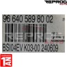 BSI VIERGE PEUGEOT EXPERT PARTNER BSI04EV K03-00 966405898002