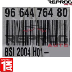 BSI VIERGE PEUGEOT 307 SW PHASE 2 BSI 2004 H01 9664476480 6580LR