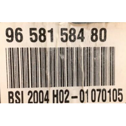 BSI VIERGE CITROEN C5 PHASE 2 PEUGEOT 607 PHASE 2 J-C BSI 2004 H02 9658158480 JOHNSON CONTROLS