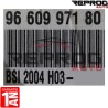 BSI VIERGE PEUGEOT 307 PHASE 2 BSI 2004 H03 9660997180 JOHNSON CONTROLS 6580CX