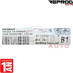 BSI VIERGE D9 PEUGEOT 406 S110950110B 9640091080/00 B1 SIEMENS