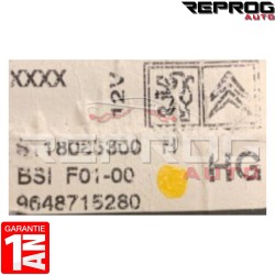 BSI VIERGE CITROEN C2 C3 F01-00 9648715280 S118085300H SIEMENS