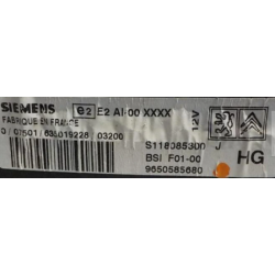 BSI VIERGE CITROEN C2 C3 F01-00 9650585680 S118085300J SIEMENS