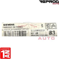 BSI VIERGE B3 PEUGEOT 406 9640091280 S110950310C D9 SIEMENS