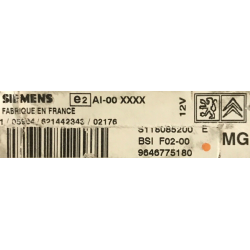 BSI VIERGE CITROEN C2 C3 F02-00 9646775180 S118085200E SIEMENS