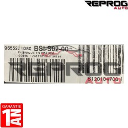 BSI VIERGE PEUGEOT 407 BSI-S02-00 9655221080 S120104700I S02 SIEMENS