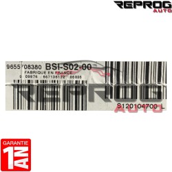 BSI S02 VIERGE PEUGEOT 407 9655708380 S120104700L SIEMENS BSI-S02-00 6580FW