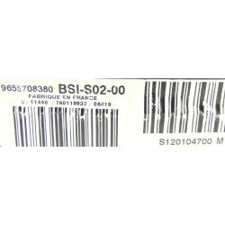 BSI S02 VIERGE PEUGEOT 407 9655708380 S120104700M SIEMENS BSI-S02-00