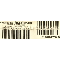 BSI VIERGE PEUGEOT 407 S02-00 9662463380 S120104700N SIEMENS