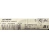 BSI VIERGE PEUGEOT 206 T1 9625812380 S105872100G B1 SIEMENS