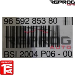 BSI VIERGE PEUGEOT 207 VALEO BSI 2004 P06-00 9659285380
