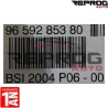 BSI VIERGE PEUGEOT 207 VALEO BSI 2004 P06-00 9659285380