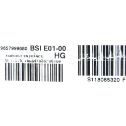 BSI VIERGE PEUGEOT 206 CITROEN XSARA PICASSO E01-00 9657999680 S118085320F HG E01