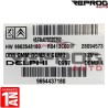 CALCULATEUR MOTEUR VIERGE PEUGEOT 407 DCM3.4 DELPHI 9664437180 HW9663548180
