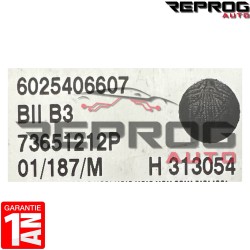BII B3 VIERGE RENAULT ESPACE 3 B2I UCH 6025406607 73651212P