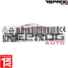 UCH VIERGE RENAULT CLIO III MODUS BCM L2CR+ 8200652286 28118126-6A V12.10