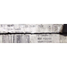 BSI VIERGE PEUGEOT 206 E03-00 9646777480 S118085110G SIEMENS 6580HA 1650882680