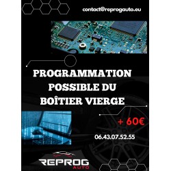 BSI VIERGE PEUGEOT 206 E03-00 9645747580 S118085110D SIEMENS