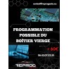 BSI VIERGE PEUGEOT 206 E03-00 9645747580 S118085110D SIEMENS