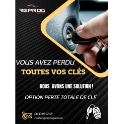BSI VIERGE PEUGEOT 206 E03-00 9645747580 S118085110D SIEMENS