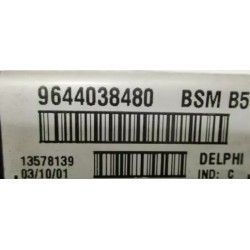 BSM B5 DELPHI PEUGEOT 206 307 807 406 CITROEN XSARA PICASSO 9644038480