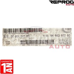 CALCULATEUR MOTEUR AVEC PROGRAMMATION/CLONAGE PEUGEOT EXPERT FIAT DUCATO CITROEN JUMPER SW9666484580 HW9666360280 VISTEON DCU102