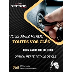 BSI VIERGE PEUGEOT 206 T1 9638160680 S105872400H B4 SIEMENS