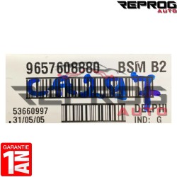 BSM B2 DELPHI 9657608880 PEUGEOT 206 206+ 307 807 CITROEN C3 C2 XSARA PICASSO